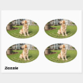 Golden Retriever avec un autocollant ovale (Feuille)