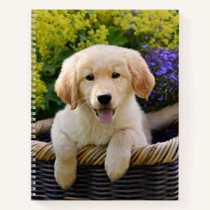 Golden Retriever Baby Dog Puppy Funny Pet Foto * Notitieboek