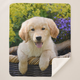 Golden Retriever Baby Dog Puppy Funny Pet Photo .. Sherpa Deken