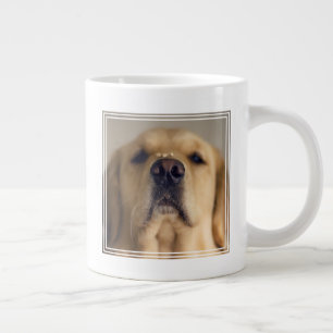 Golden Retriever Balancing Treat on Nose Extra Grote Beker