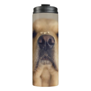 Golden Retriever Balancing Treat on Nose Thermosbeker