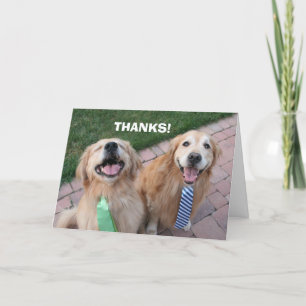 Golden Retriever Bedankt