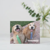 Golden Retriever Bedankt Briefkaart (Staand voorkant)