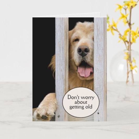 Golden Retriever Birthday Getting Old Humor Kaart (Gele Bloem)