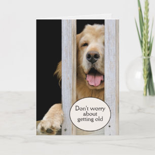 Golden Retriever Birthday Getting Old Humor Kaart