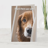 Golden Retriever Birthday Humor Kaart (Voorkant)