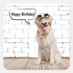 Golden Retriever Birthday Humor Vierkante Sticker