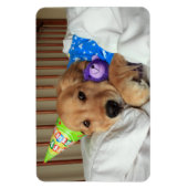 Golden Retriever Birthday Magneet (Verticaal)