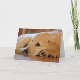 Golden Retriever Blank binnenin Kaart
