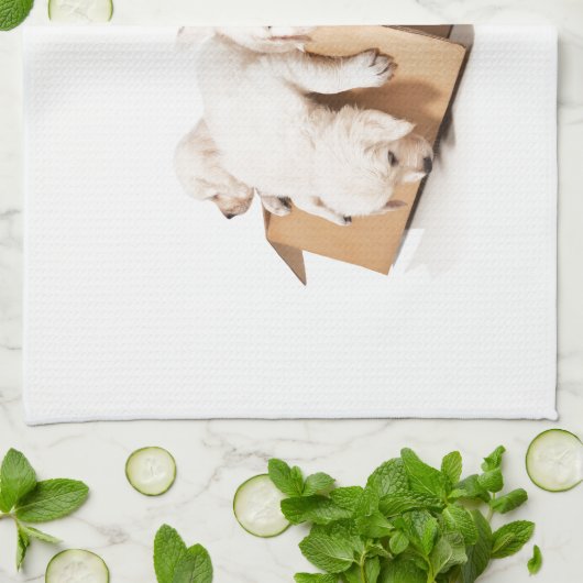 Golden Retriever Box of Fun Theedoek (Gevouwen)