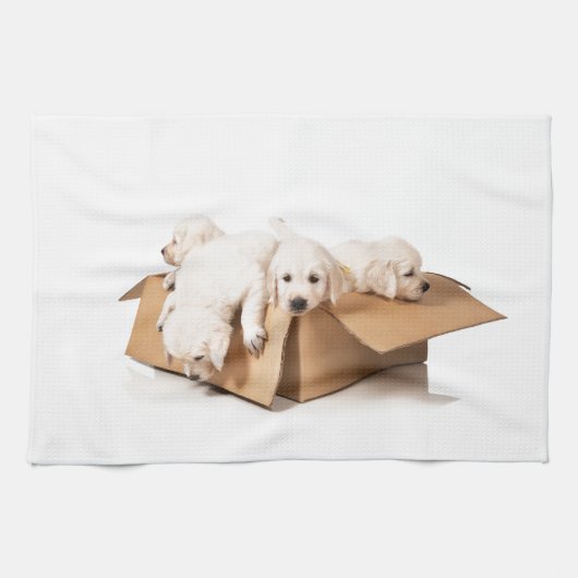Golden Retriever Box of Fun Theedoek (Horizontaal)
