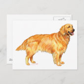 Golden Retriever Briefkaart (Voorkant / Achterkant)