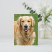 Golden Retriever Briefkaart (Staand voorkant)