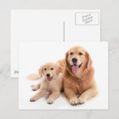 Golden Retriever Buddies Briefkaart (Voorkant / Achterkant)