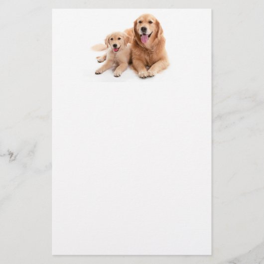 Golden Retriever Buddies Briefpapier (Voorkant)