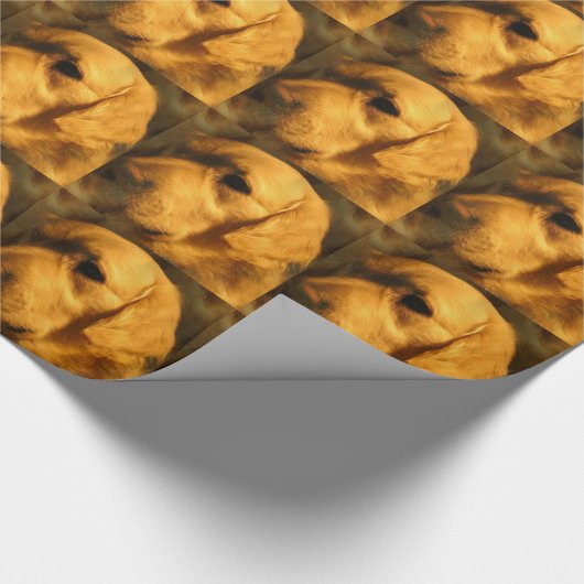 Golden Retriever Cadeaupapier (Hoek)