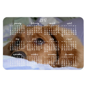 Golden Retriever Calendar 2017 Grand Magnet photo