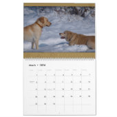 Golden retriever - calendrier mural 2011 (Mar 2026)