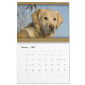 Golden retriever - calendrier mural 2011 (Feb 2026)