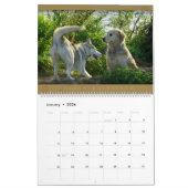 Golden retriever - calendrier mural 2011 (Jan 2026)