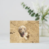 Golden Retriever Camouflage Briefkaart (Staand voorkant)