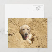 Golden Retriever Camouflage Briefkaart (Voorkant / Achterkant)