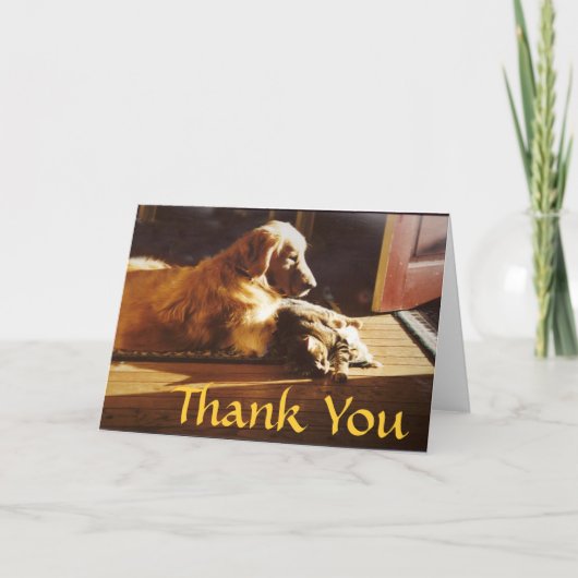 Golden Retriever Carte de remerciements Chat Best  (Devant)