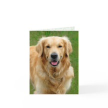 Golden Retriever - Carte de sympathie pour les chi