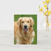 Golden Retriever - Carte de sympathie pour les chi (Fleur jaune)