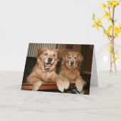 Golden Retriever Carte de voeux anniversaire (Fleur jaune)