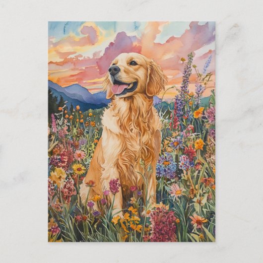 Golden Retriever - Carte postale (Devant)