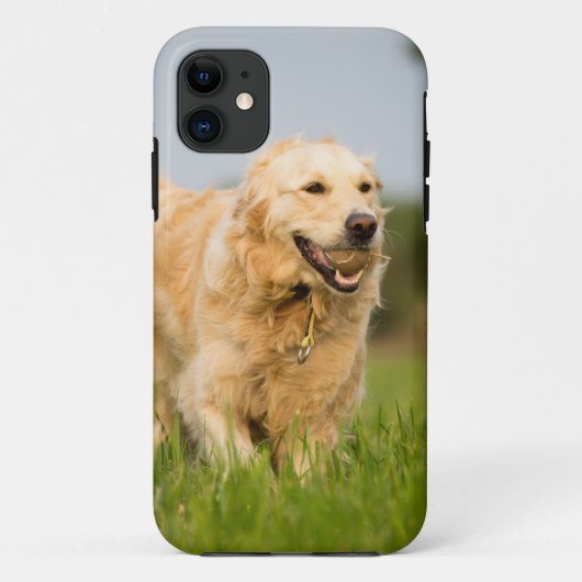 Golden Retriever Case-Mate iPhone Case (Achterkant)