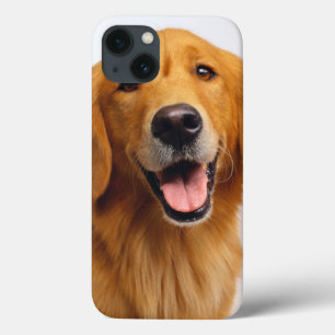 Golden Retriever iPhone 13 Hoesje