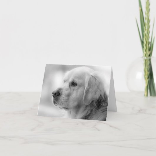 Golden Retriever Chien Chien blanc Carte pour note (Devant)