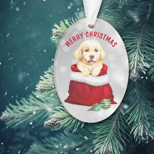 Golden Retriever Chien Chien Chien Cadeau Surprise