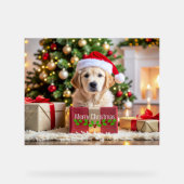 Golden Retriever Christmas (Recto)