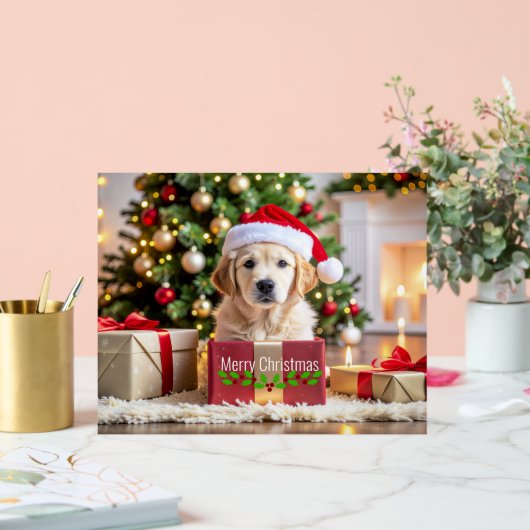 Golden Retriever Christmas (Mariage)