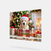 Golden Retriever Christmas (Angle)