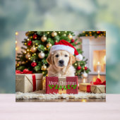 Golden Retriever Christmas Acryl Bord (Neutraal)