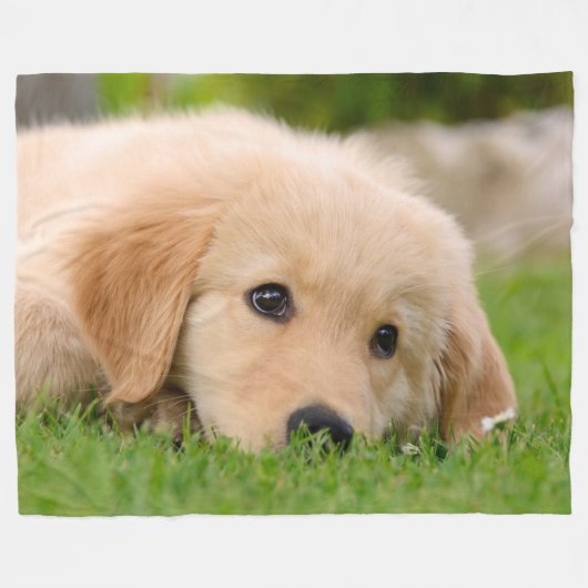 Golden Retriever Cute Puppy Dreaming Dog Portret Fleece Deken (Voorkant (Horizontaal))