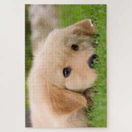 Golden Retriever Cute Puppy Dreaming Legpuzzel