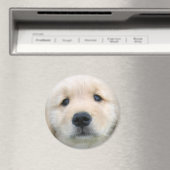 Golden Retriever Cute Puppy Magneet (Insitu (Vaatwasser))