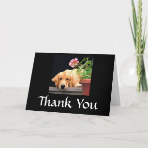 Golden Retriever Dank je wel kaart Bloem