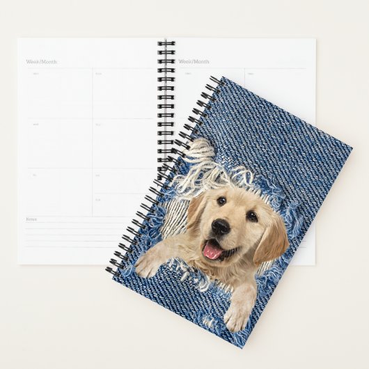 Golden Retriever dans Denim Hole (Devant avec enveloppe)