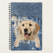 Golden Retriever dans Denim Hole (Devant)