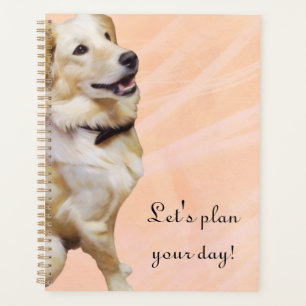Golden Retriever Dans Un Planificateur Bowtie