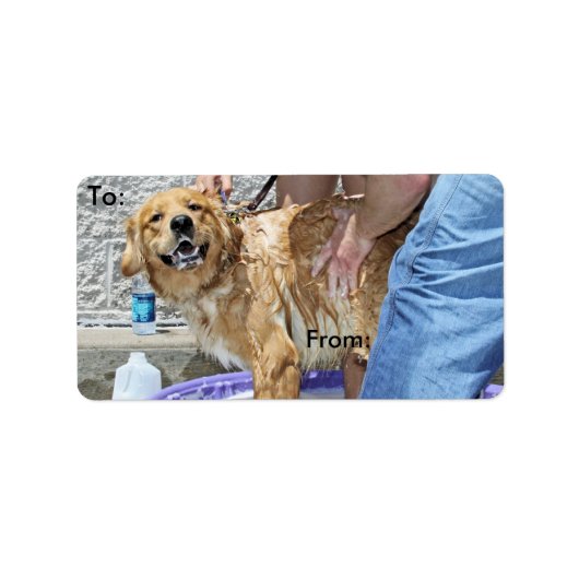 Golden Retriever - Dat is de plek! Etiket (Voorkant)