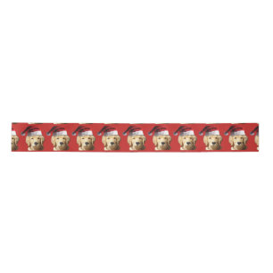 Golden retriever de Kerstman Lint