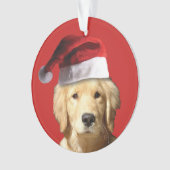 Golden Retriever de Noël (devant)