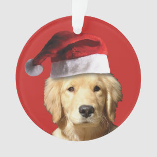 Golden Retriever de Noël
